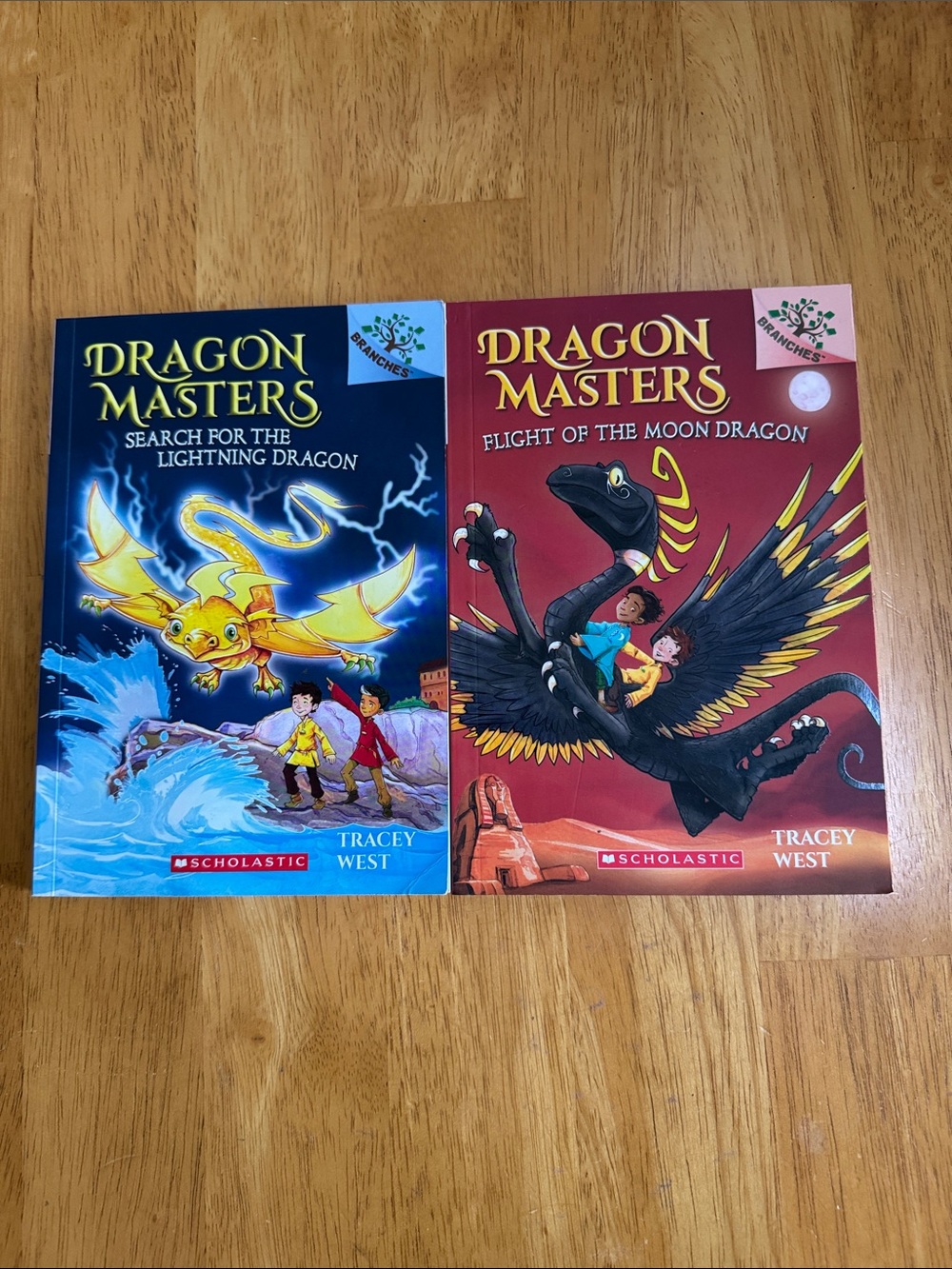 🛑 2 Books Dragon Masters Flight of the Moon Dragon Search for Lightning Dragon